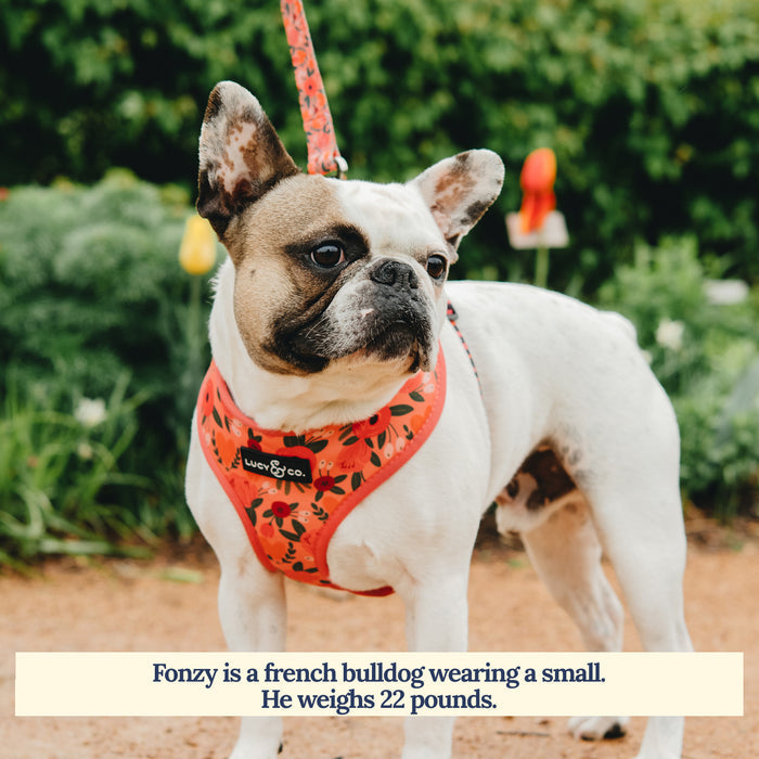 Posy Pink Leash