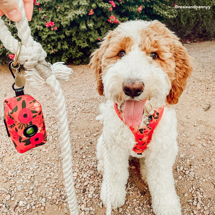 Posy Pink Poop Bag Holder