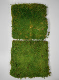 Preserved Bulk Green Sheet Moss – 11 Sq. Ft. Decor Jamali Garden
