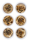Preserved Gold Roses, Set of 6 Decor Jamali Garden