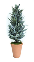 Preserved Mahonia Frosted Cone Topiary