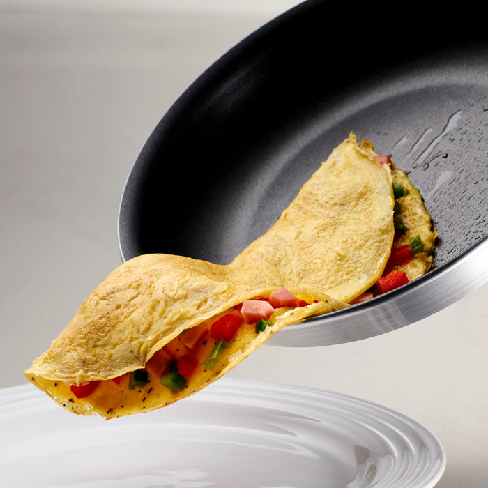 Professional Nonstick Fry Pan