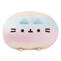 Rainbow Round Pusheen