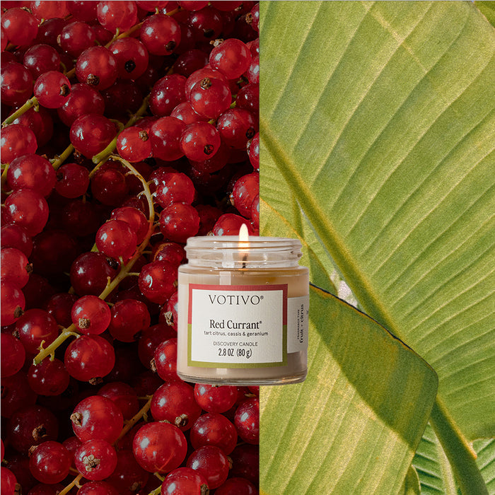 A Votivo Red Currant Discovery Candle burns in a glass jar, its soy blend wax filling the air with red currant fragrance, flanked by fresh red currants on the left and a large green leaf on the right.