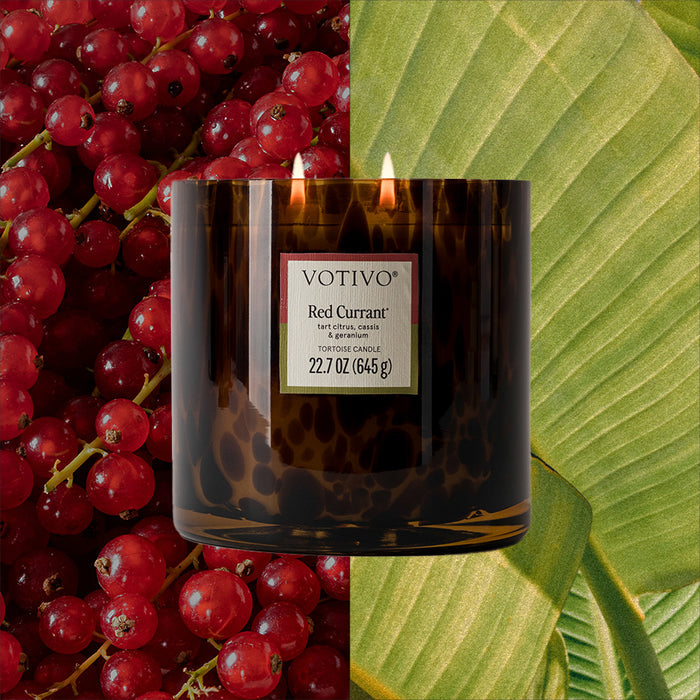 A Votivo Red Currant Tortoise Candle sits centered over a split background of fresh red currants on the left and a green leaf on the right, highlighting its signature fragrance in a brown glass jar.