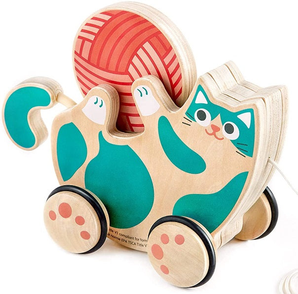 Roll and Rattle Kitten