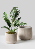 Romano Aged White Real Look PVC Ridged Planter Decor Jamali Garden