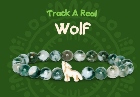 Scout Bracelet Wolf Woodland Green
