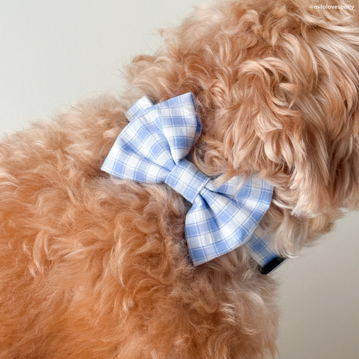 Silly Goose Cat & Dog Bow Tie