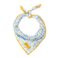 Simply Splendid Bandana