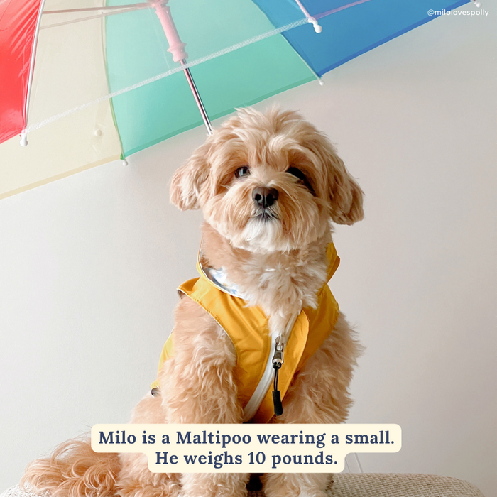 Simply Splendid Reversible Raincoat