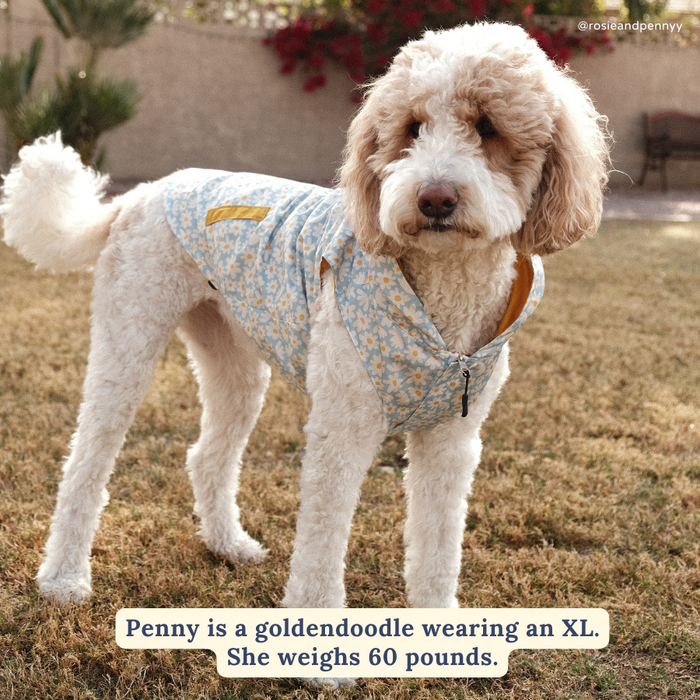 Simply Splendid Reversible Raincoat