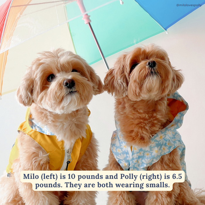 Simply Splendid Reversible Raincoat