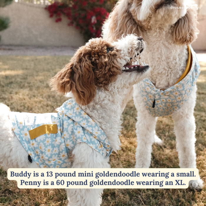 Simply Splendid Reversible Raincoat