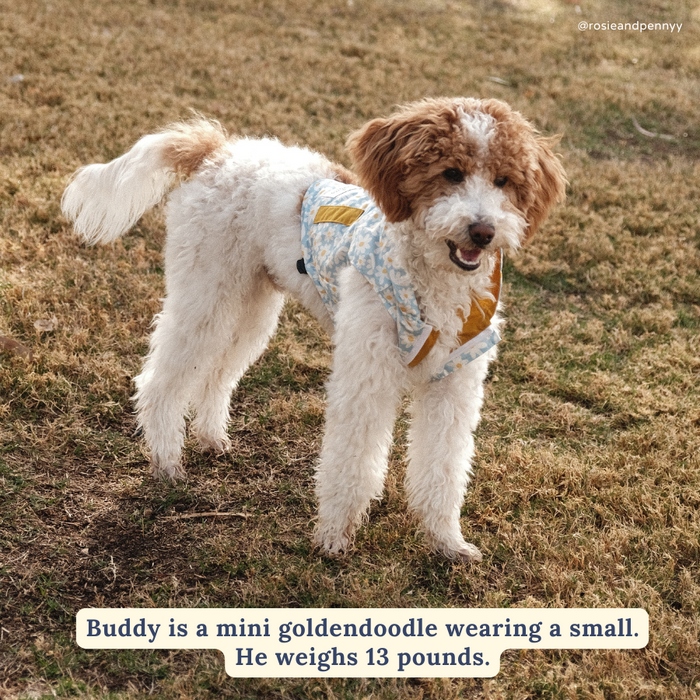 Simply Splendid Reversible Raincoat