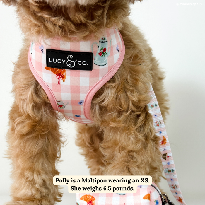 Sipping Slowly Reversible Harness