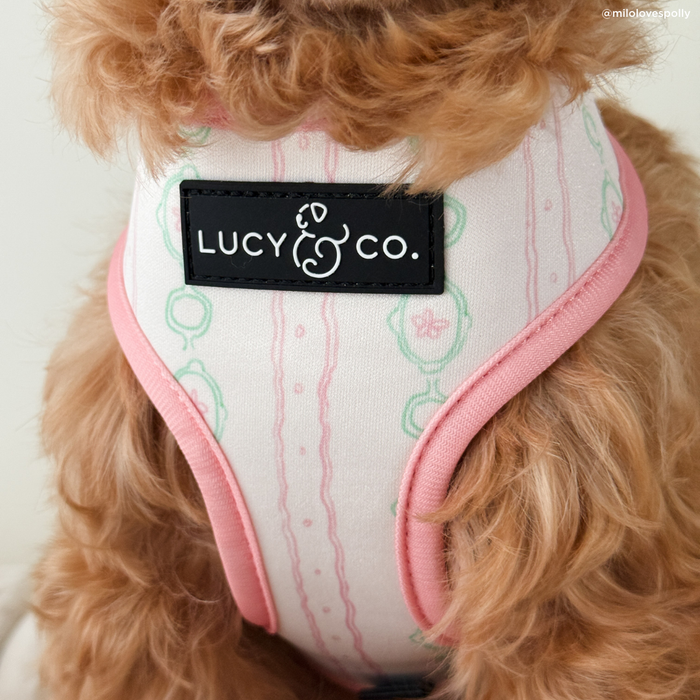 Sipping Slowly Reversible Harness