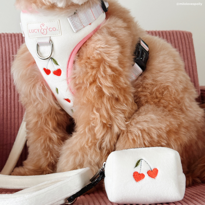Soft White Velour Leash