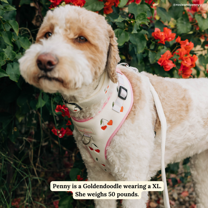 Soft White Velour Leash