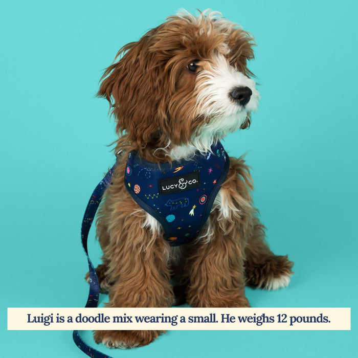 Space Doodle Reversible Harness