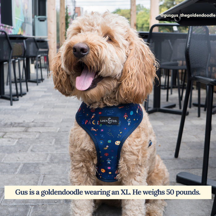 Space Doodle Reversible Harness