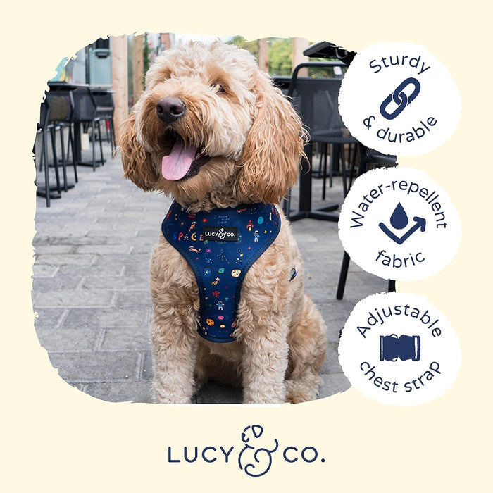 Space Doodle Reversible Harness