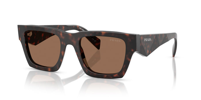 Root Tortoise/Dark Brown / 50