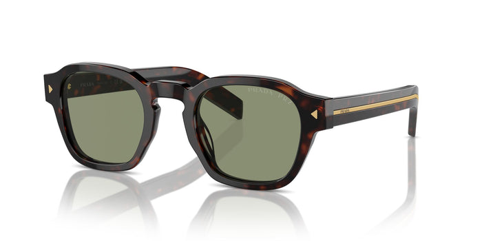 Radica Tortoise/Green Polarised / 49