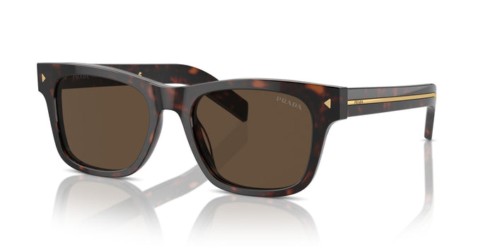 Radica Tortoise/Dark Brown / 51