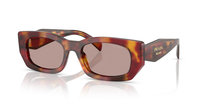 Poppy Tortoise/Light Purple Brown / 53
