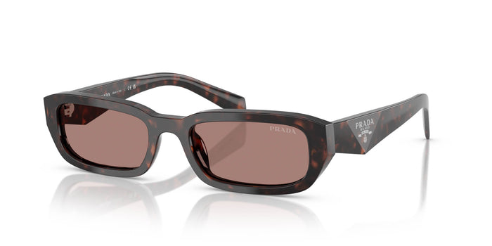 Root Tortoise/Light Brown / 53