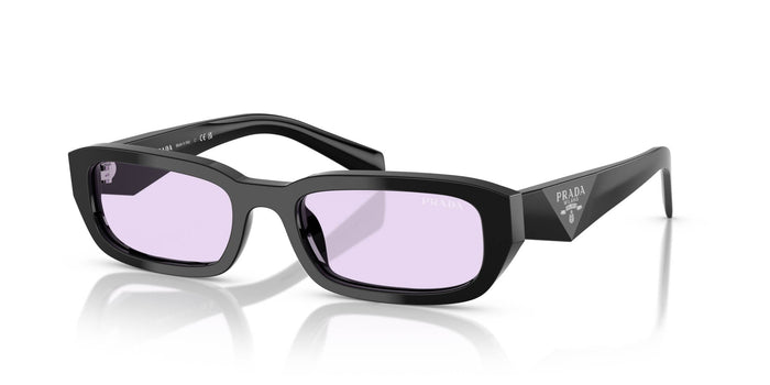 Black/Violet / 53