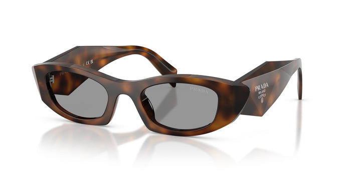 Juniper Tortoise/Grey / 50