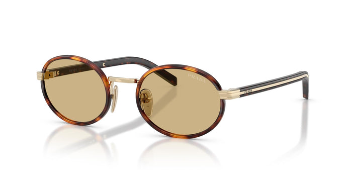 Root Tortoise/Lente Camomilla Bio / 52