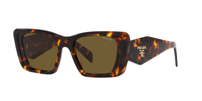 Honey Tortoise/Dark Brown / 51