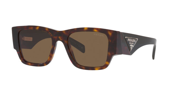 Tortoise/Dark Brown / 54
