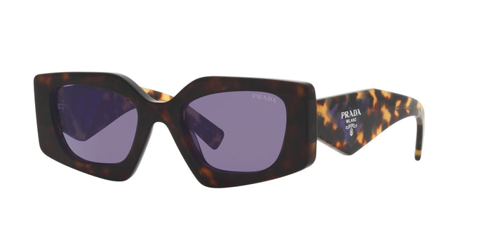 Tortoise/Violet Mirror Internal Silver / 51