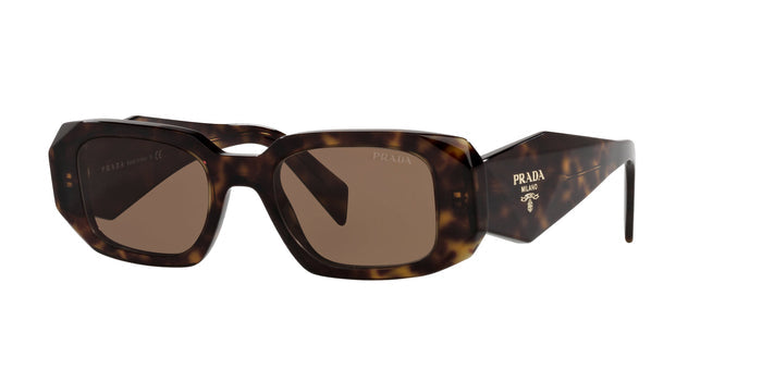 Dark Tortoise/Brown / 49
