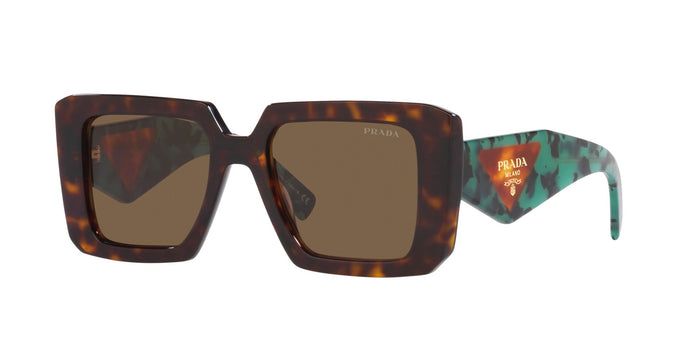 Tortoise/Dark Brown / 51