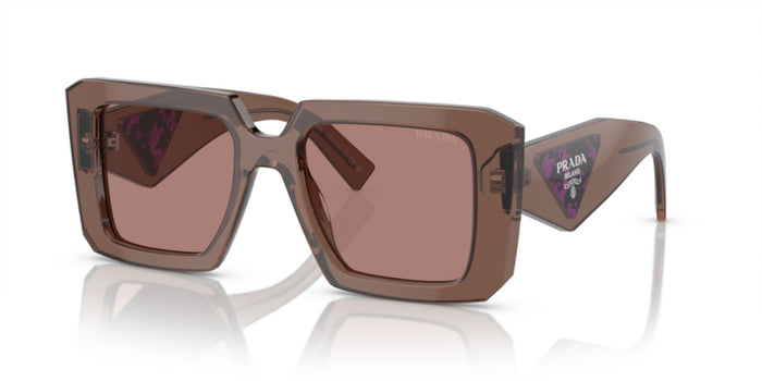 Brown Transparent/Light Brown / 51