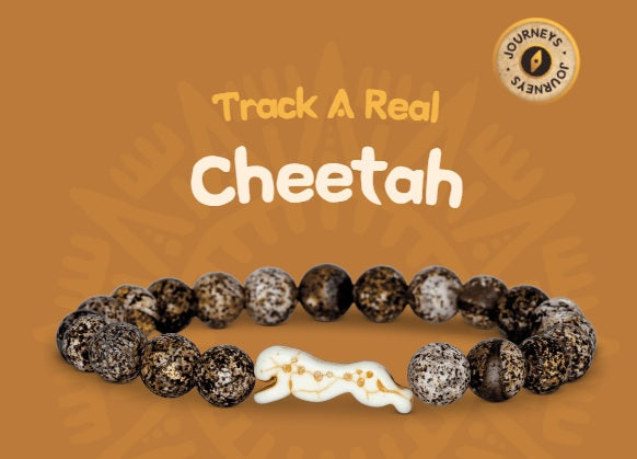 Sprint Bracelet Cheetah Kalahari
