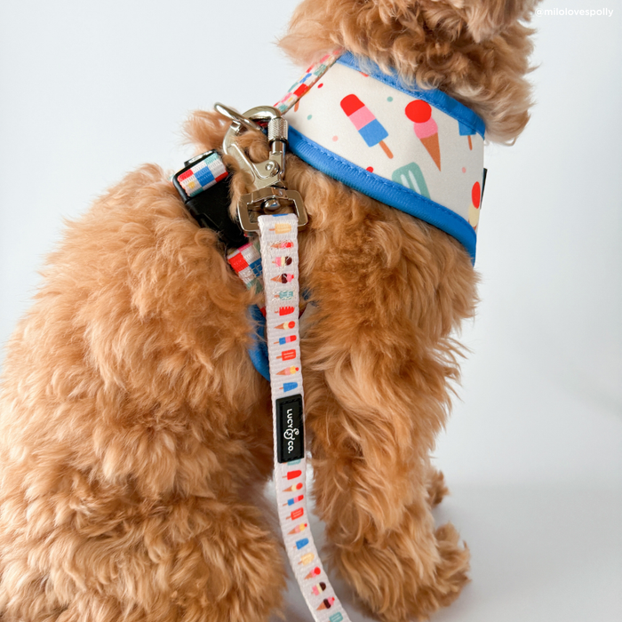 Sundae Kinda Love Leash