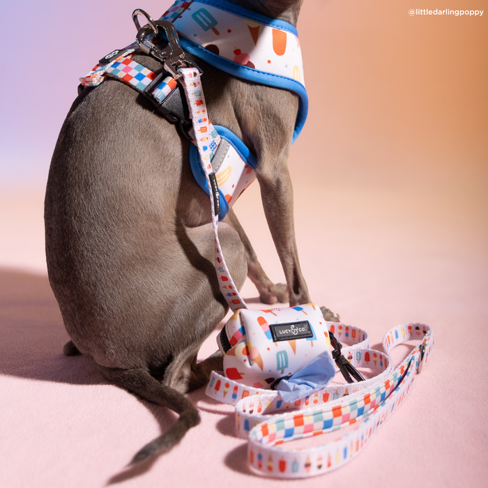 Sundae Kinda Love Leash