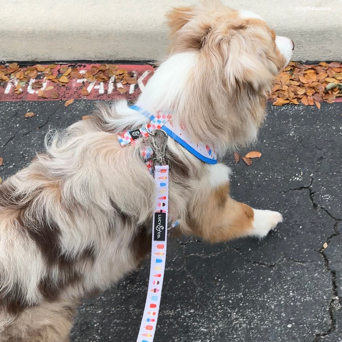 Sundae Kinda Love Leash