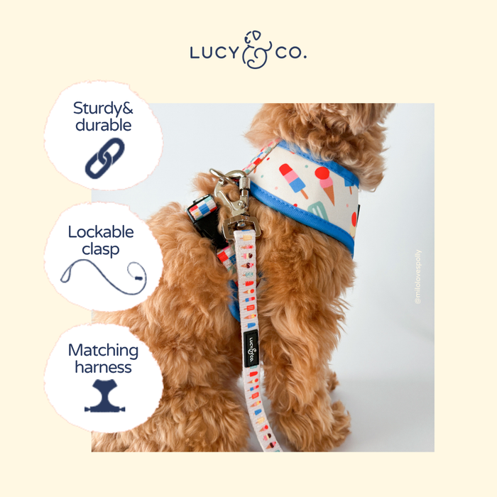 Sundae Kinda Love Leash