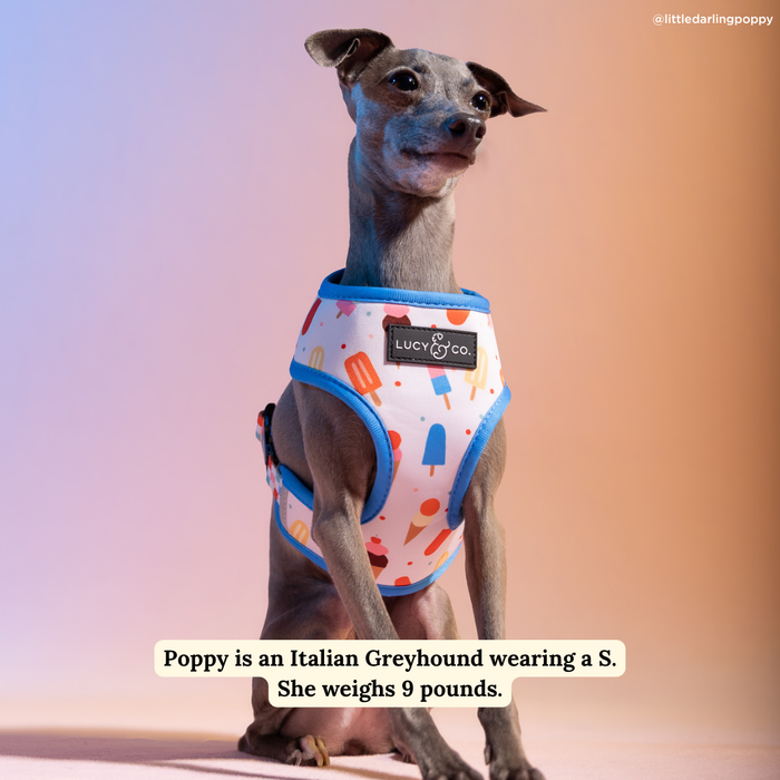 Sundae Kinda Love Reversible Harness
