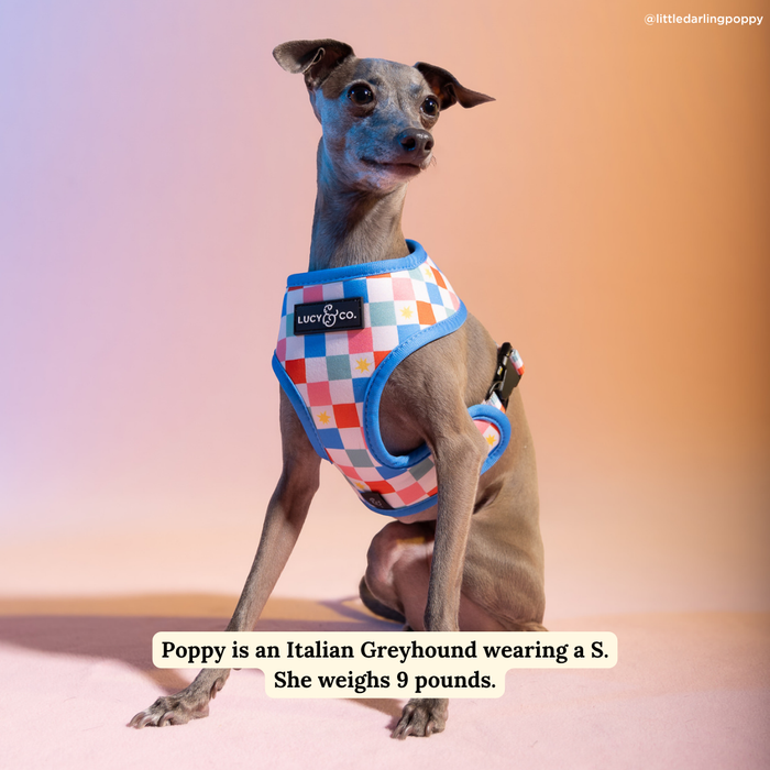 Sundae Kinda Love Reversible Harness