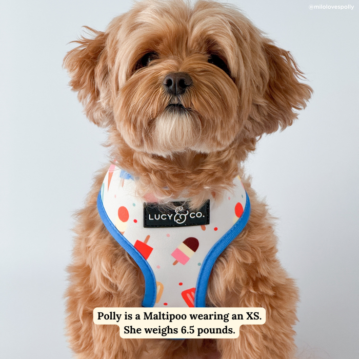 Sundae Kinda Love Reversible Harness