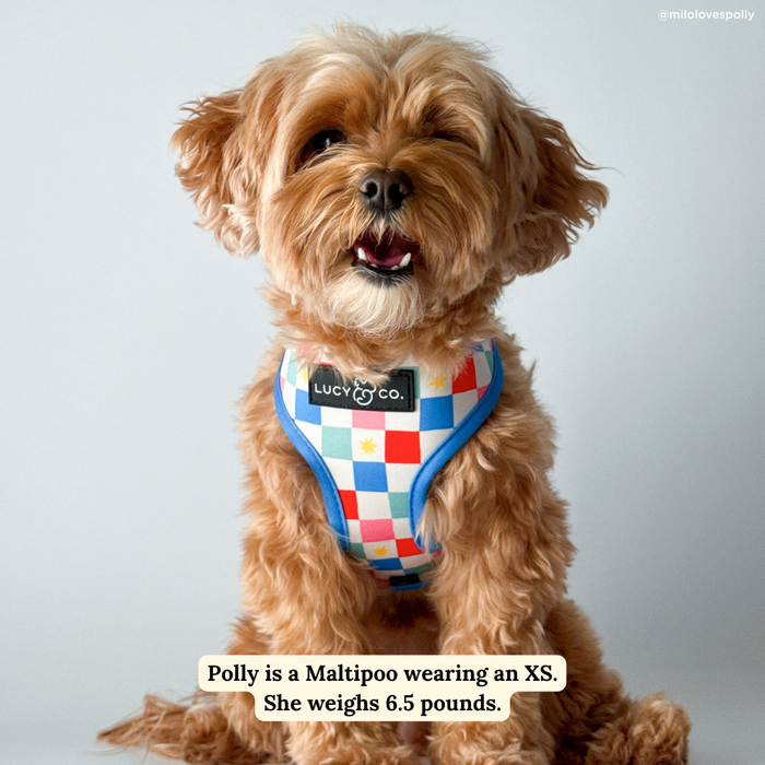 Sundae Kinda Love Reversible Harness