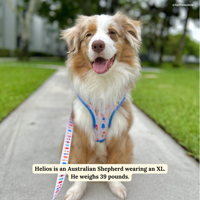 Sundae Kinda Love Reversible Harness